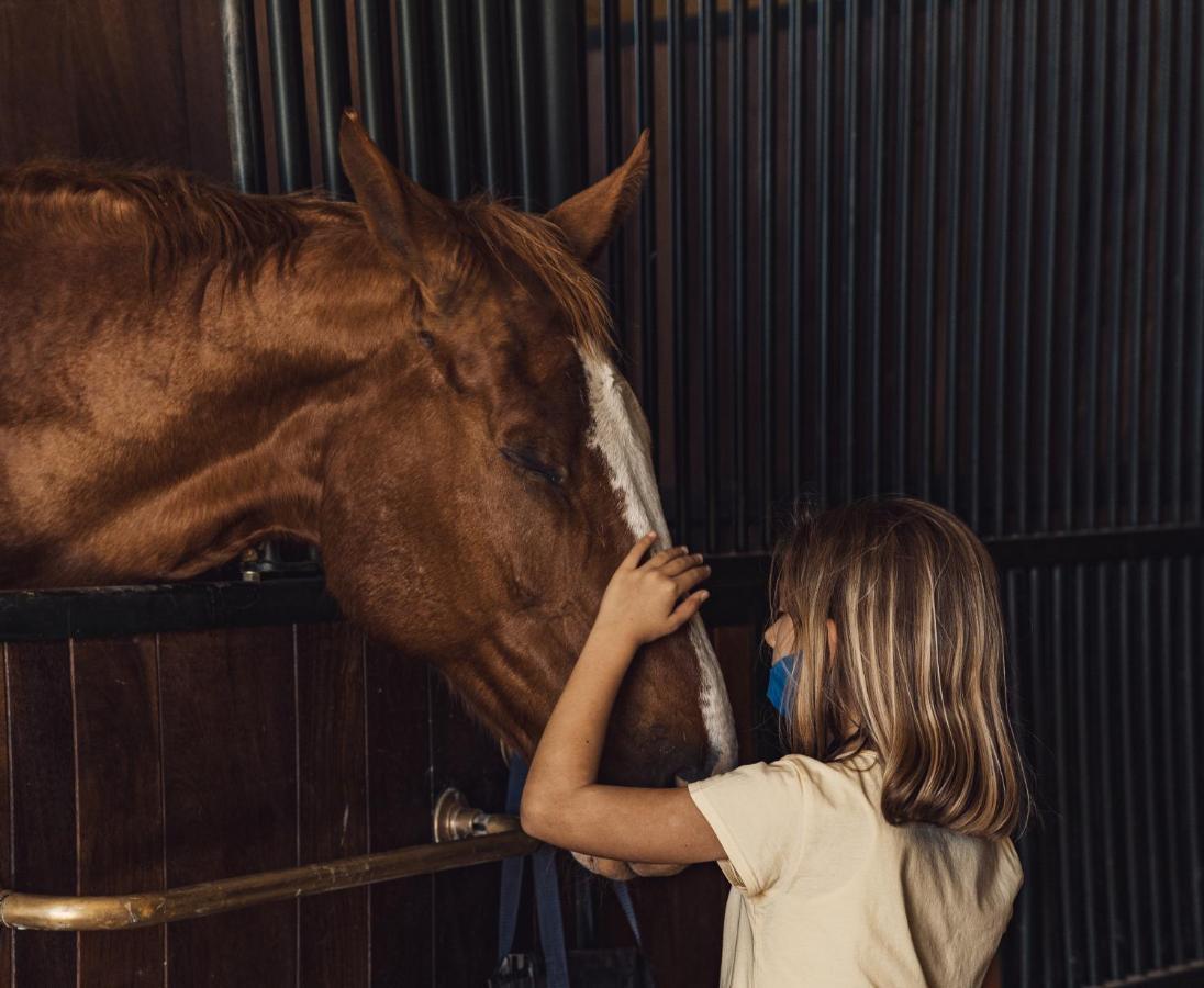 Podere Val D'Orcia - Tuscany Equestrian Sarteano Buitenkant foto